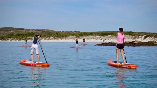 Südafrika: SUP-Tour Südafrika: SUP-Tour