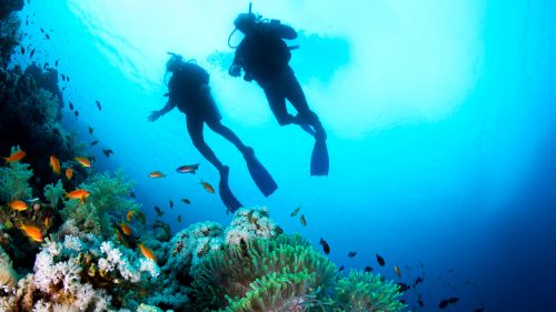Hamata: Eine wunderbare Unterwasserwelt findet man in Ägypten Hamata: Eine wunderbare Unterwasserwelt findet man in Ägypten