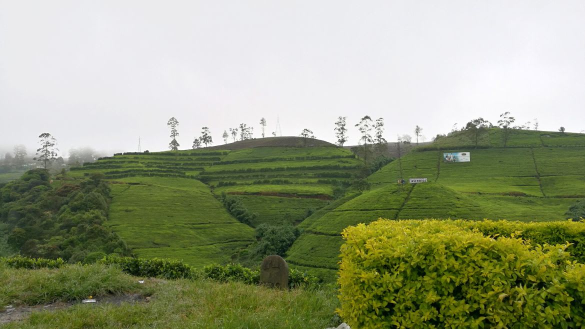Sri Lanka: Die Teefabrik liegt innerhalb einer prächtigen Landschaft Sri Lanka: Die Teefabrik liegt innerhalb einer prächtigen Landschaft
