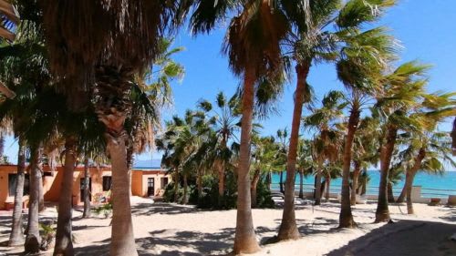 Surfhotel La Ventana