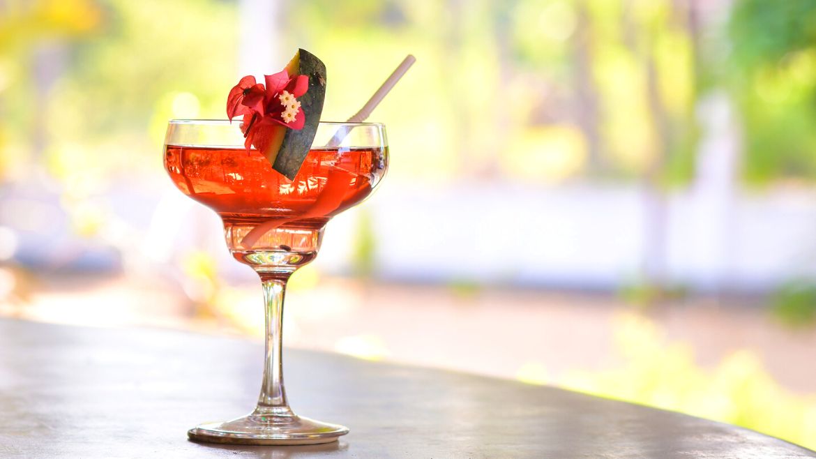 Kalpitiya: Tolle Getränke an der Bar 