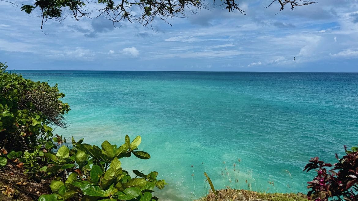 Tobago: Ausblick vom Komforthotel aus