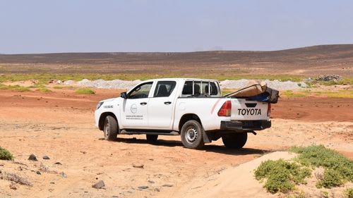 Boa Vista: Transfer