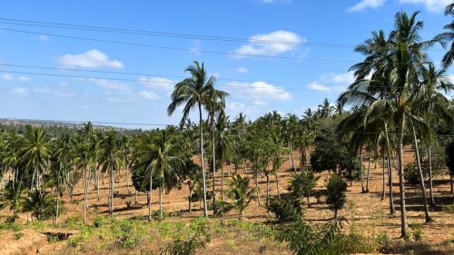 Kilifi: eTA vorab elektronisch beantragen