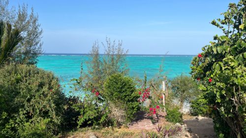 Sansibar: Einreise-Visum wird benötigt. Sansibar: Einreise-Visum wird benötigt.