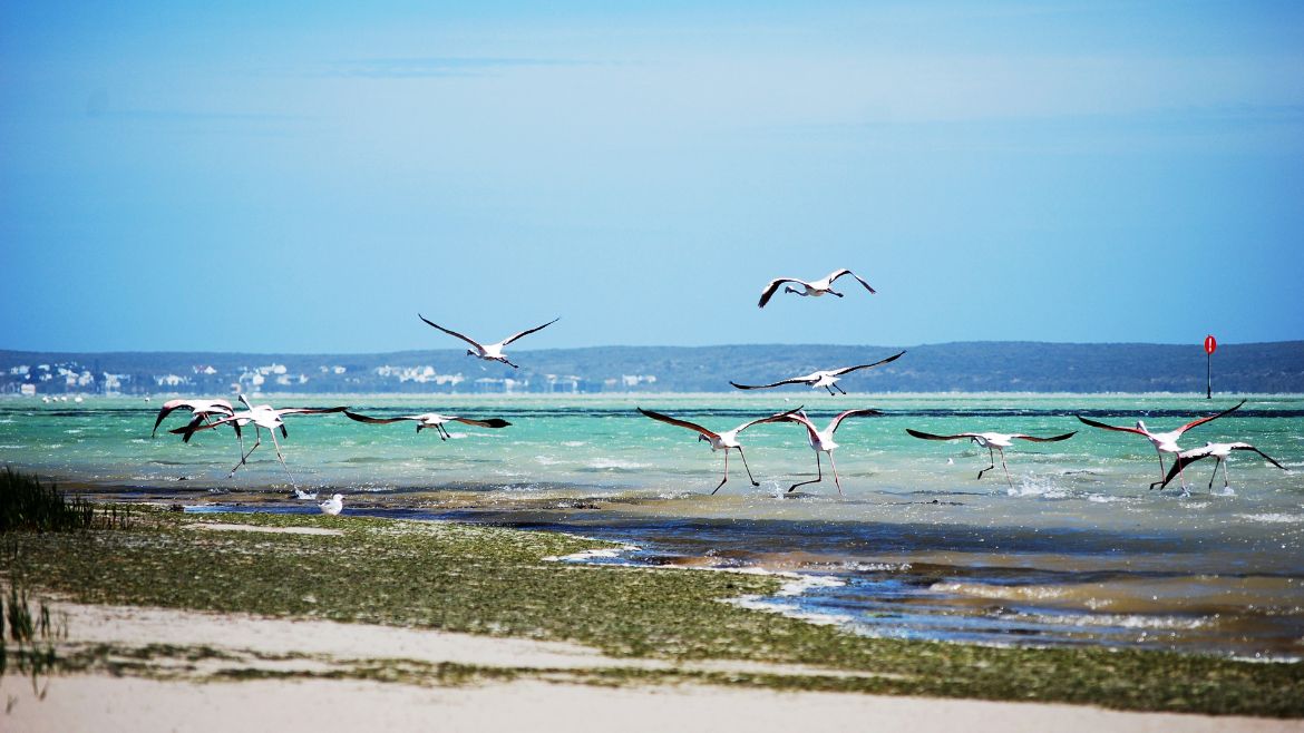 Langebaan: West Coast Nationalpark