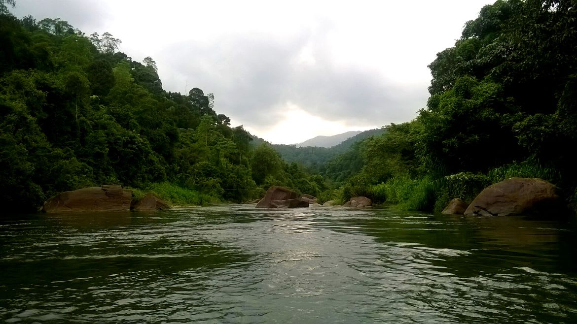 Sri lanka: Wunderbare Natureindrücke während der Rundreise Sri lanka: Wunderbare Natureindrücke während der Rundreise