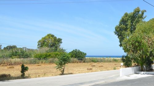 Rhodos Theologos: Kurzer Laufweg zum Strand und zu dem kleinen Ortskern