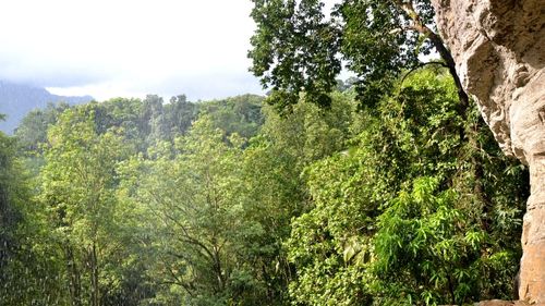 Sri Lanka: Beeindruckende Landschaft in Kithulgala 