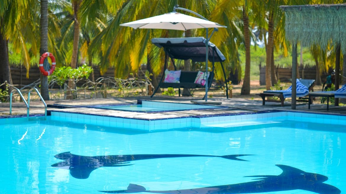 Kalpitiya: Pool der Palmen Bungalows Kalpitiya: Pool der Palmen Bungalows