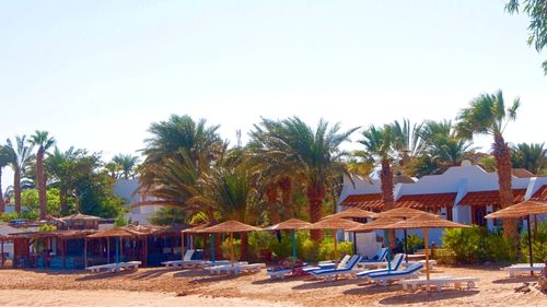 Soma Bay: Strandansicht der Strand Bungalows