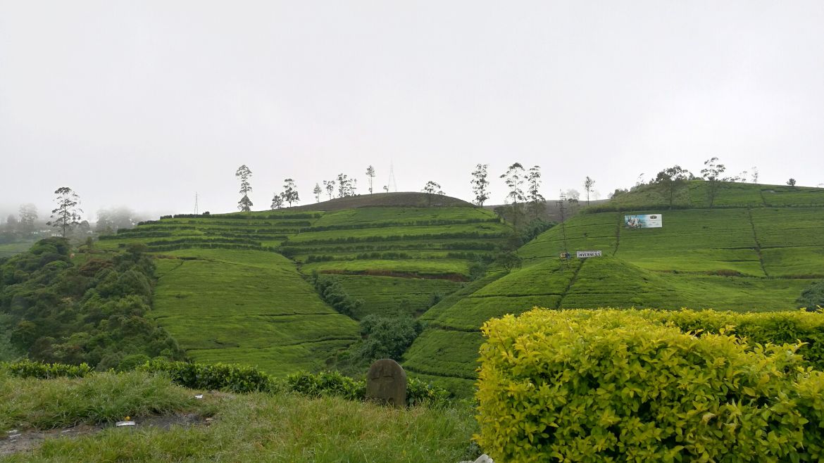 Sri Lanka: Die Teefabrik liegt innerhalb einer prächtigen Landschaft
