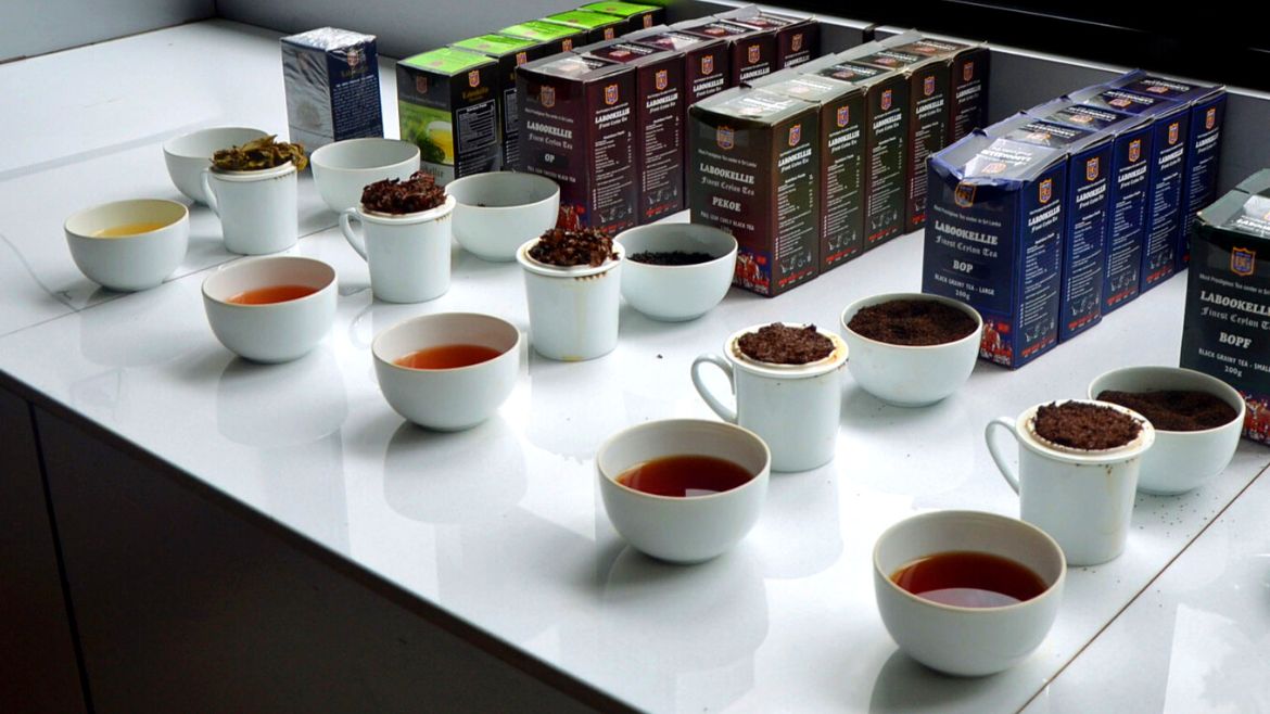 Sri Lanka: Verschiedene Teesorten aus eigener Herstellung probieren