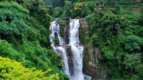 Sri Lanka: Wasserfall