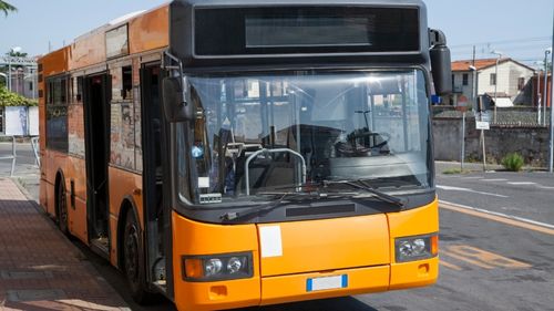 Rhodos Fanes: Rhodos verfügt über ein gutes öffentliches Verkehrsnetz