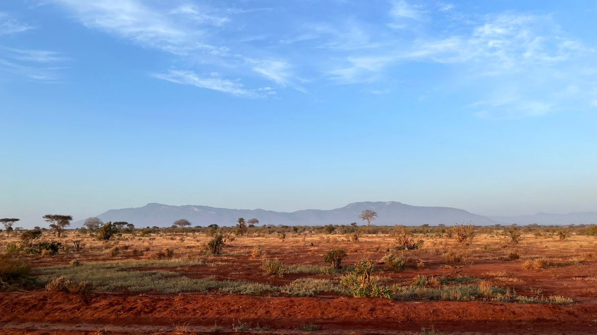 Kenia: Die rote Lateriterde im Tsavo Nationalpark bietet ein tolles Landschaftsbild