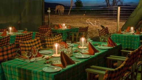 Kenia: Während des Abendessens lassen sich Elefanten an der Wasserstelle beobachten