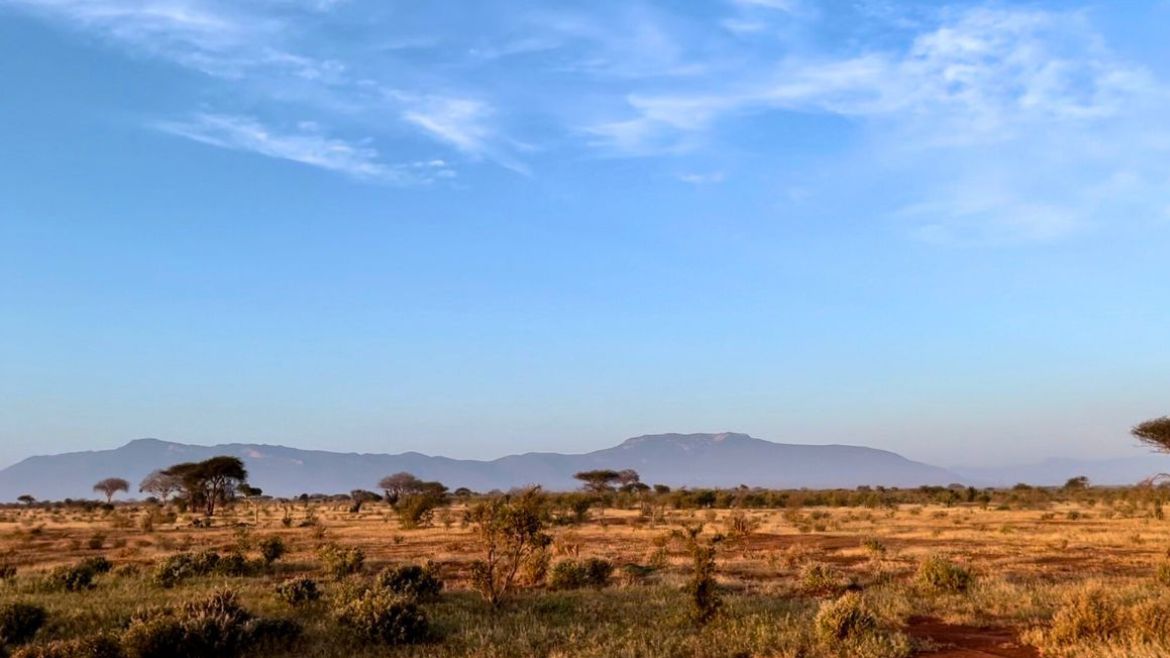 Kenia: Die fazinierende Wildnis Kenias