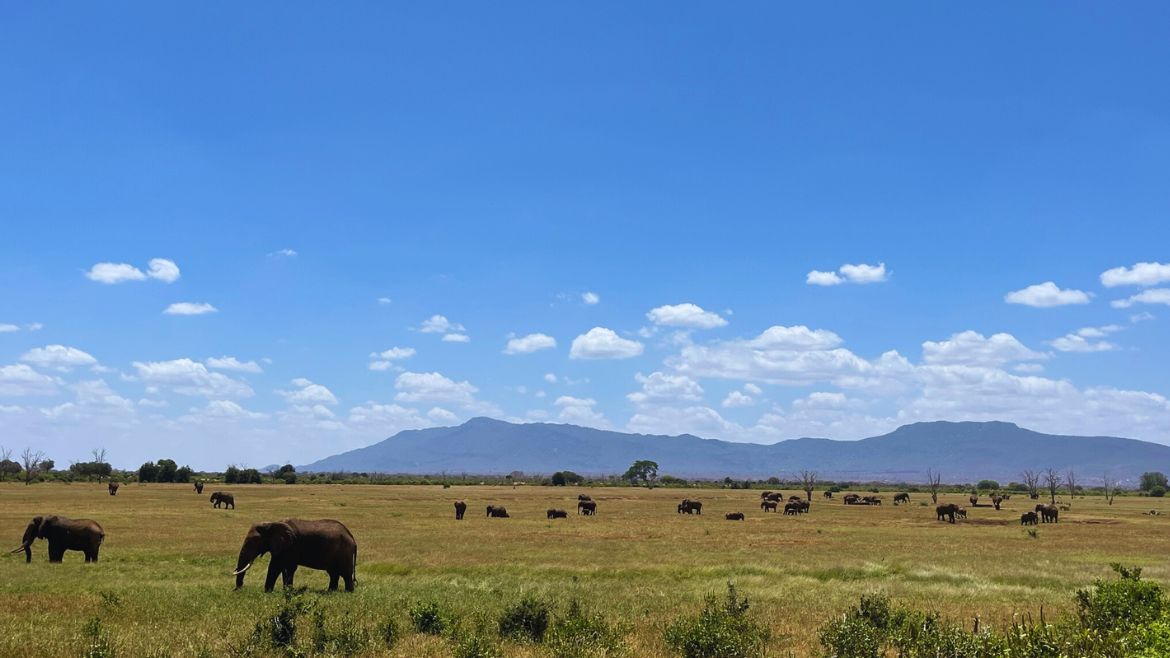 Kenia: Landschaften wie aus dem Bilderbuch