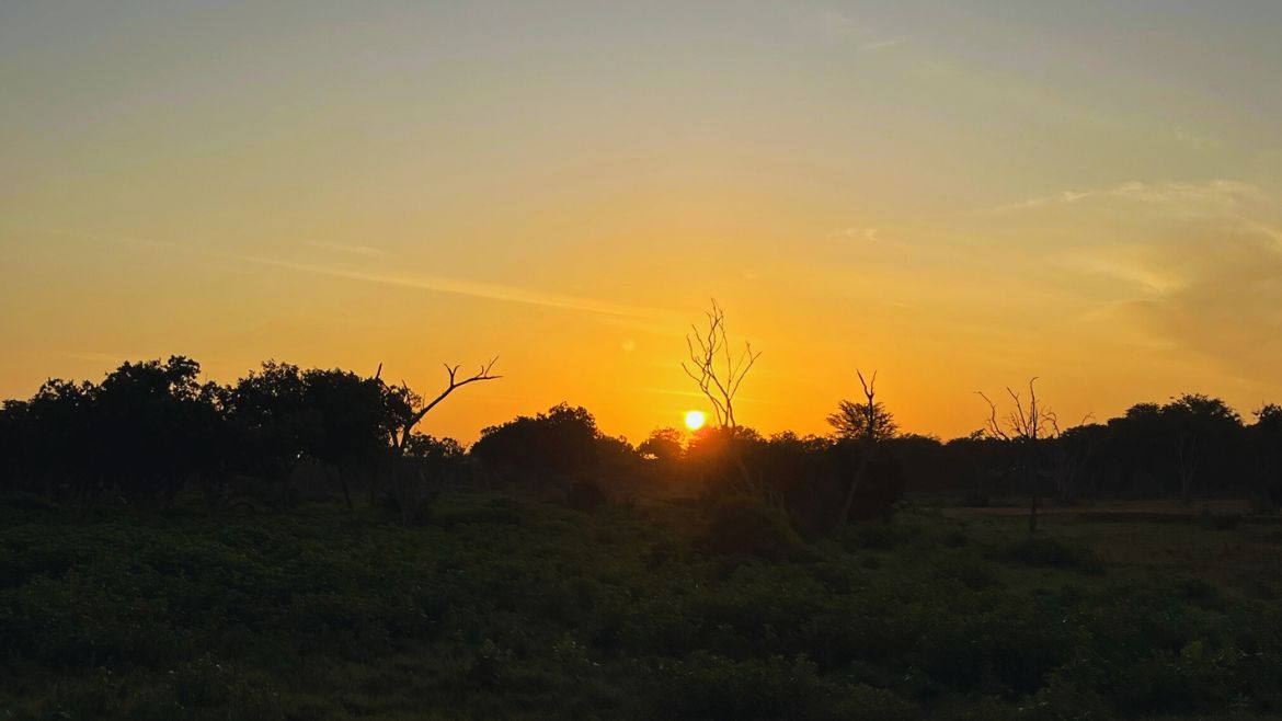 Kenia: Wunderbare Sonnenuntergänge 